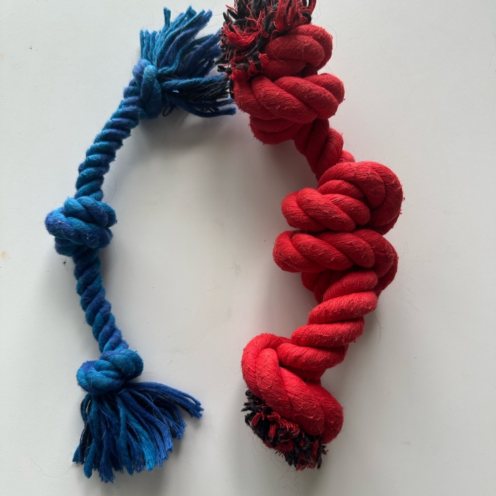 Small blue and red dog rope toys 9”